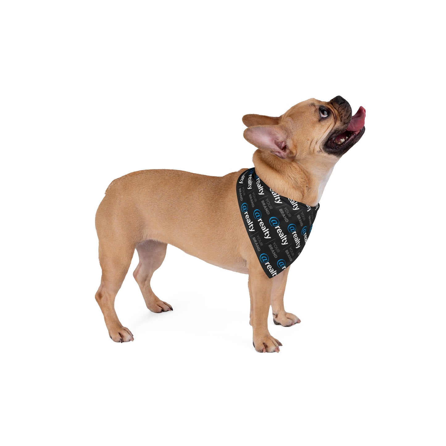 Co-Branded Pet Bandana