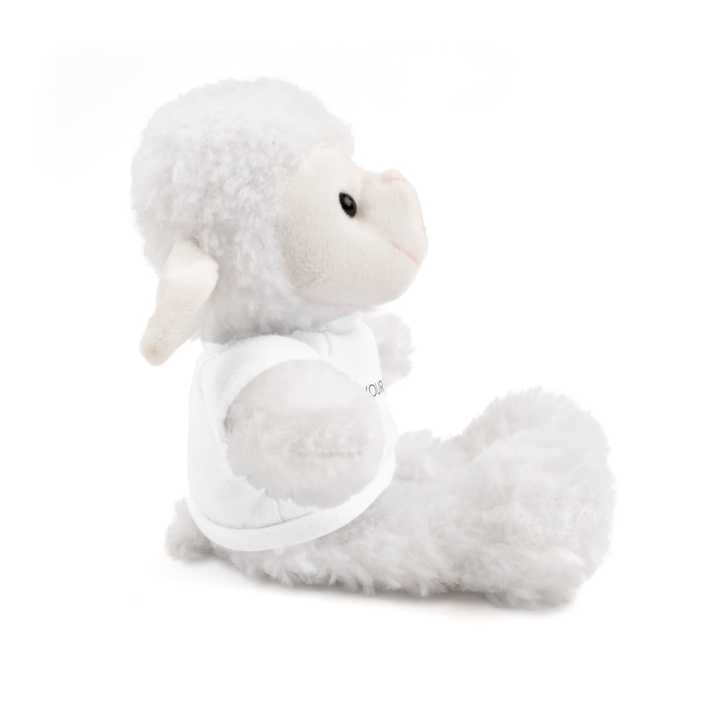 OASIS Stuffed Animals with Tee